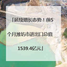 延续增长态势！前5个月潍坊市进出口总值1539.4亿元