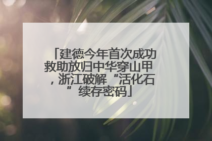建德今年首次成功救助放归中华穿山甲，浙江破解“活化石”续存密码