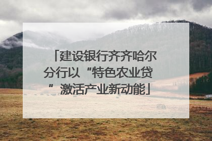 建设银行齐齐哈尔分行以“特色农业贷”激活产业新动能