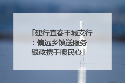 建行宜春丰城支行：偏远乡镇送服务 银政携手暖民心