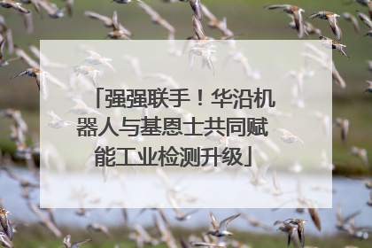 强强联手！华沿机器人与基恩士共同赋能工业检测升级