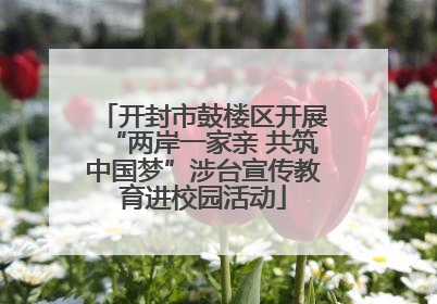 开封市鼓楼区开展“两岸一家亲 共筑中国梦”涉台宣传教育进校园活动