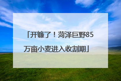 开镰了！菏泽巨野85万亩小麦进入收割期