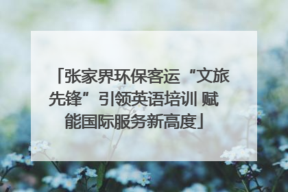 张家界环保客运“文旅先锋”引领英语培训 赋能国际服务新高度