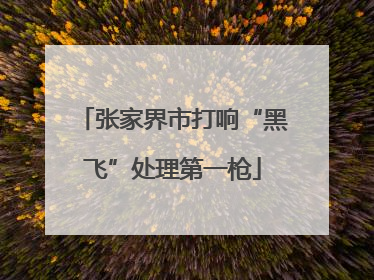张家界市打响“黑飞”处理第一枪