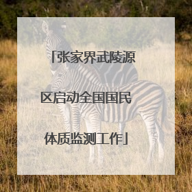 张家界武陵源区启动全国国民体质监测工作
