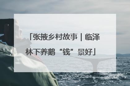 张掖乡村故事｜临泽林下养鹅“钱”景好