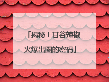 揭秘！甘谷辣椒火爆出圈的密码