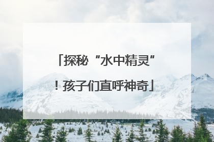 探秘“水中精灵”！孩子们直呼神奇