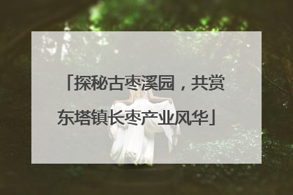 探秘古枣溪园，共赏东塔镇长枣产业风华