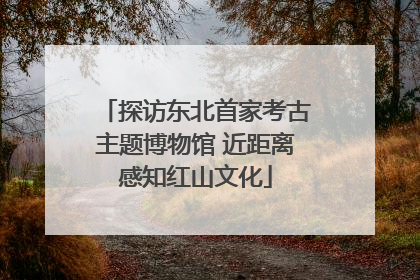 探访东北首家考古主题博物馆 近距离感知红山文化