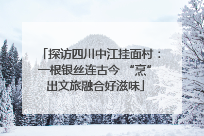 探访四川中江挂面村：一根银丝连古今 “烹”出文旅融合好滋味