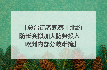 总台记者观察丨北约防长会拟加大防务投入 欧洲内部分歧难掩