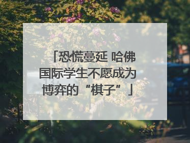 恐慌蔓延 哈佛国际学生不愿成为博弈的“棋子”