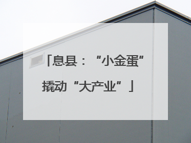 息县：“小金蛋”撬动“大产业”