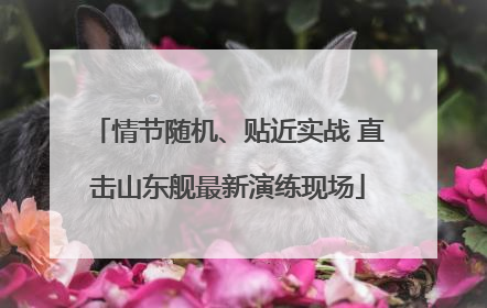 情节随机、贴近实战 直击山东舰最新演练现场