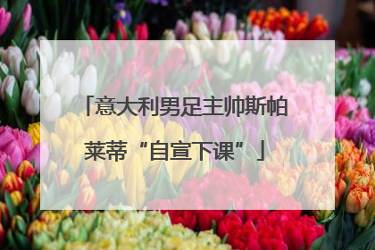 意大利男足主帅斯帕莱蒂“自宣下课”