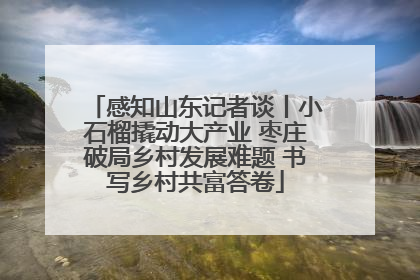 感知山东记者谈丨小石榴撬动大产业 枣庄破局乡村发展难题 书写乡村共富答卷