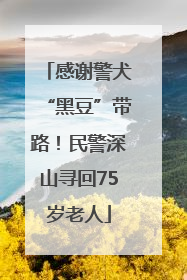 感谢警犬“黑豆”带路！民警深山寻回75岁老人