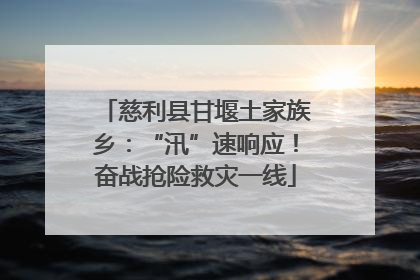 慈利县甘堰土家族乡：“汛”速响应！奋战抢险救灾一线