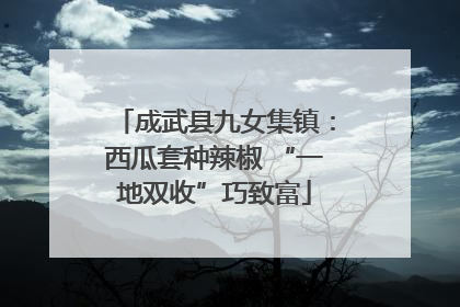 成武县九女集镇：西瓜套种辣椒 “一地双收”巧致富