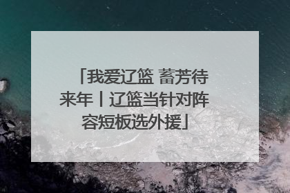 我爱辽篮 蓄芳待来年丨辽篮当针对阵容短板选外援
