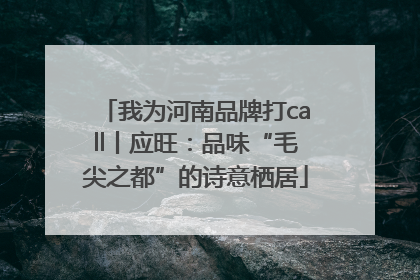 我为河南品牌打call丨应旺：品味“毛尖之都”的诗意栖居