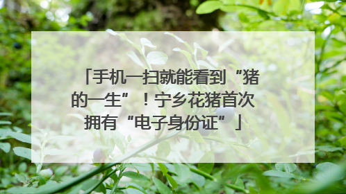 手机一扫就能看到“猪的一生”！宁乡花猪首次拥有“电子身份证”