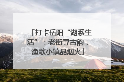 打卡岳阳“湖系生活”：老街寻古韵，渔歌小镇品烟火