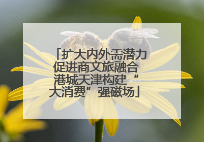 扩大内外需潜力 促进商文旅融合 港城天津构建“大消费”强磁场