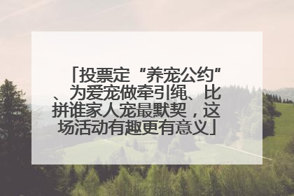 投票定“养宠公约”、为爱宠做牵引绳、比拼谁家人宠最默契，这场活动有趣更有意义