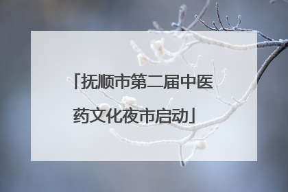 抚顺市第二届中医药文化夜市启动