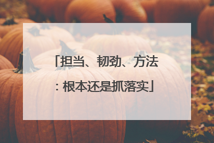 担当、韧劲、方法：根本还是抓落实