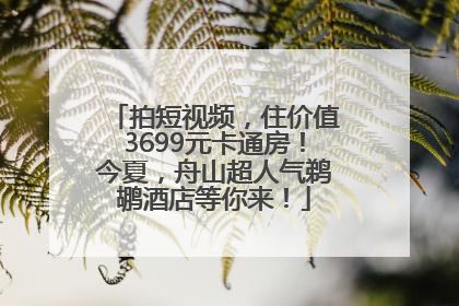 拍短视频，住价值3699元卡通房！今夏，舟山超人气鹈鹕酒店等你来！
