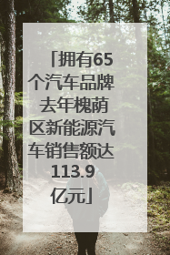 拥有65个汽车品牌 去年槐荫区新能源汽车销售额达113.9亿元