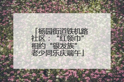 杨园街道铁机路社区：“红领巾”相约“银发族” 老少同乐庆端午