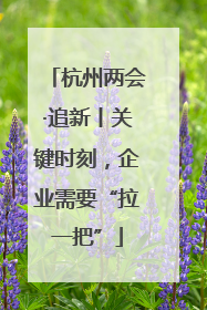 杭州两会·追新丨关键时刻，企业需要“拉一把”