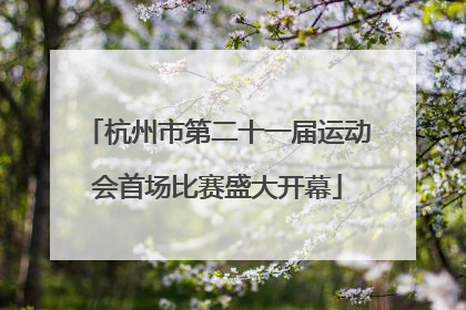 杭州市第二十一届运动会首场比赛盛大开幕