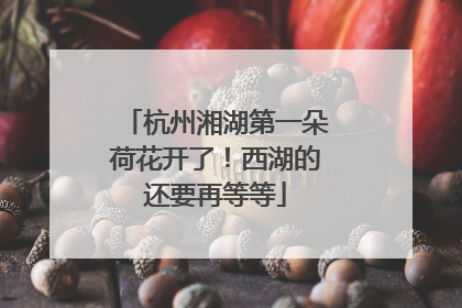 杭州湘湖第一朵荷花开了！西湖的还要再等等