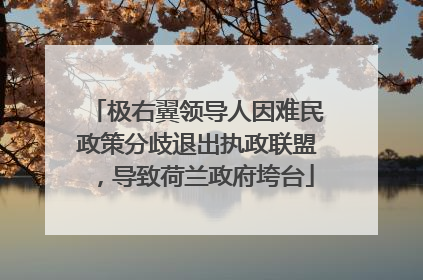 极右翼领导人因难民政策分歧退出执政联盟，导致荷兰政府垮台