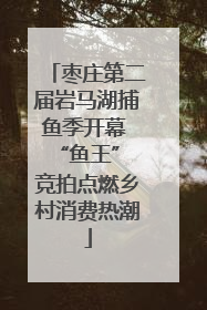 枣庄第二届岩马湖捕鱼季开幕 “鱼王” 竞拍点燃乡村消费热潮