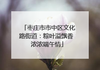 枣庄市市中区文化路街道：粽叶溢飘香 浓浓端午情