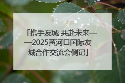 携手友城 共赴未来——2025黄河口国际友城合作交流会侧记