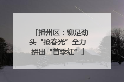 播州区：铆足劲头“抢春光”全力拼出“首季红”