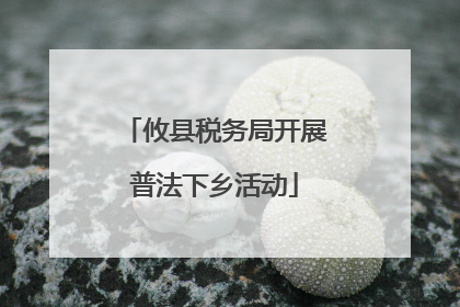 攸县税务局开展普法下乡活动