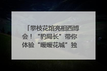 攀枝花馆亮相西博会！“豹局长”带你体验“暖暖花城”独特魅力｜西博视界