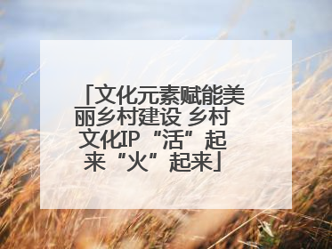 文化元素赋能美丽乡村建设 乡村文化IP“活”起来“火”起来
