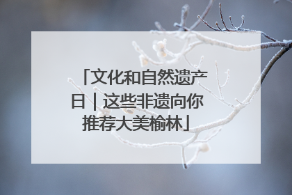 文化和自然遗产日｜这些非遗向你推荐大美榆林