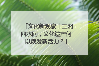 文化新观察丨三湘四水间，文化遗产何以焕发新活力？