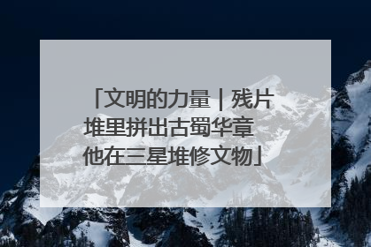 文明的力量｜残片堆里拼出古蜀华章 他在三星堆修文物